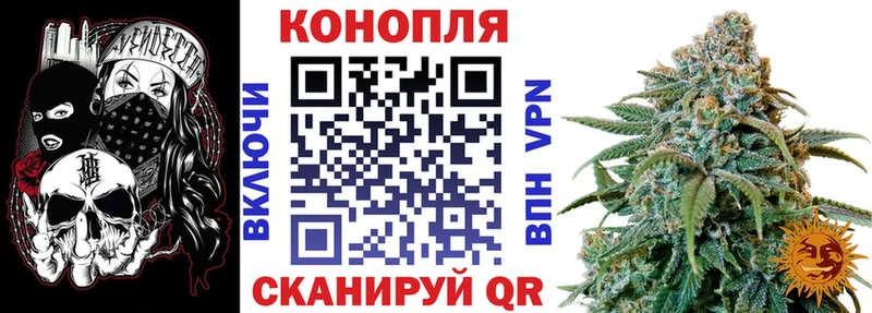 дарнет шоп Любим Марихуана ГИДРОПОН